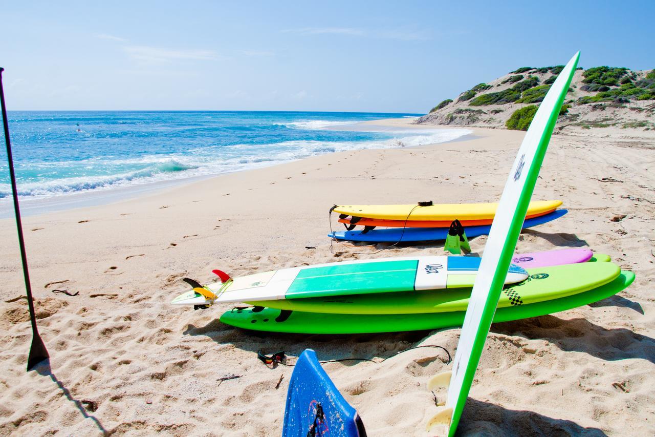 San José del Cabo Surf Hostel Cabo "The Riptide" מראה חיצוני תמונה
