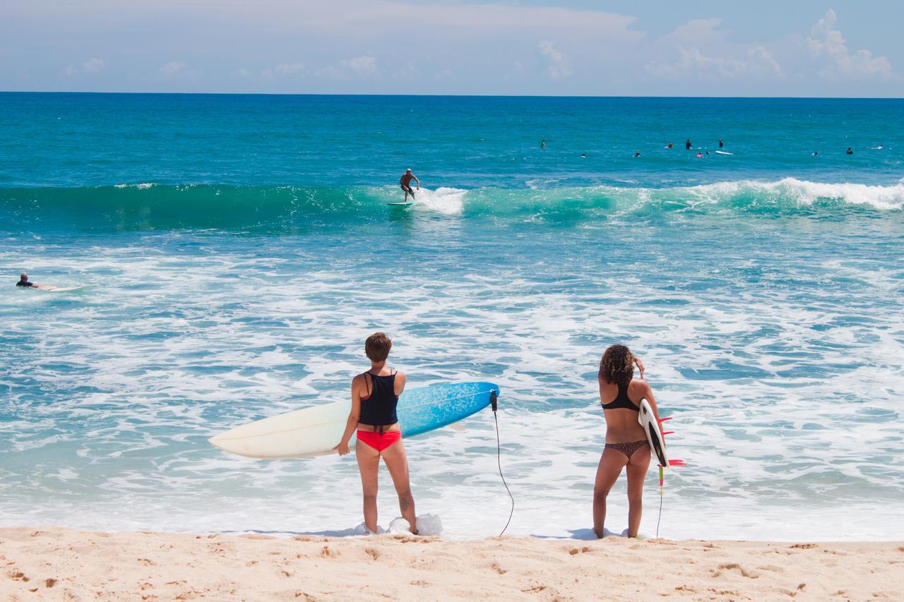 San José del Cabo Surf Hostel Cabo "The Riptide" מראה חיצוני תמונה